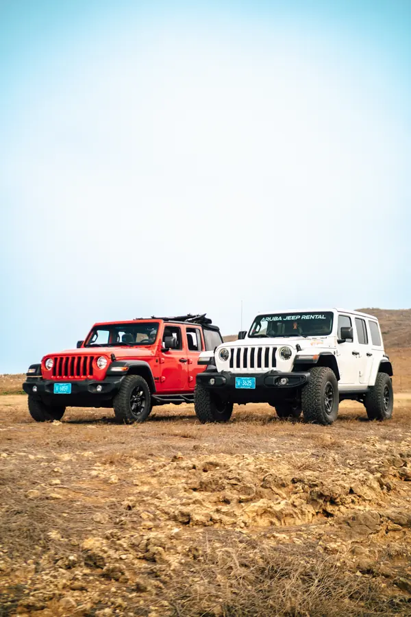 EFE Jeeps in the hills of Arikok